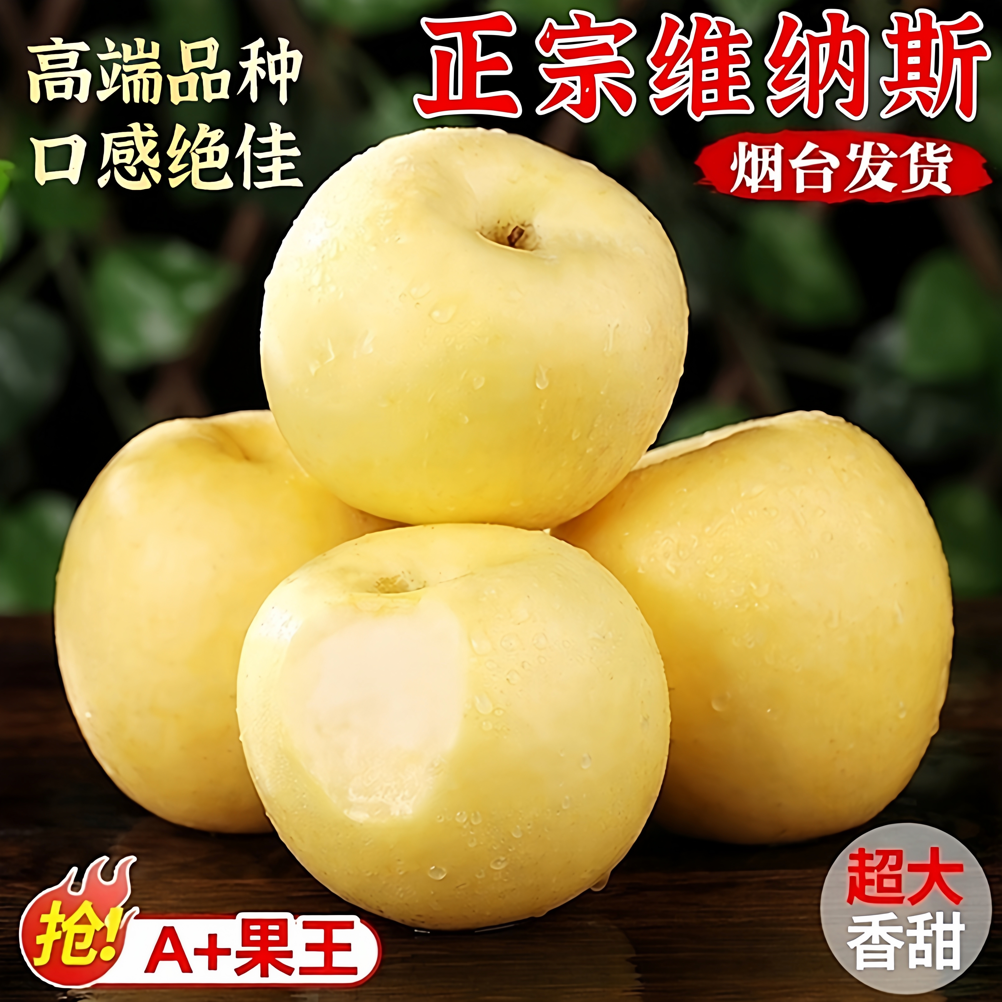 【山姆供应商】维纳斯烟台直发