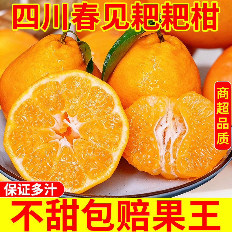 正宗四川春见耙耙柑粑粑柑杷杷柑新鲜水果整箱当季丑桔子橘旗舰店,水产肉类/新鲜蔬果/熟食,桔子,淘宝优惠券,粉丝福利购,淘宝优惠卷