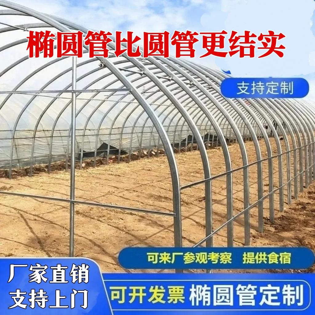 椭圆管大棚钢管骨架全套温室大棚养殖大棚蔬菜大棚养鸡鸭棚猪牛棚