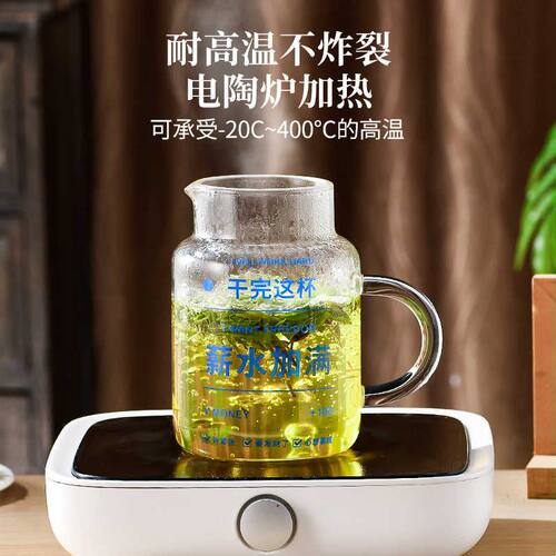 1000ml喝水杯办公室高颜值咖啡杯带盖玻璃杯子女大容量牛奶杯茶杯