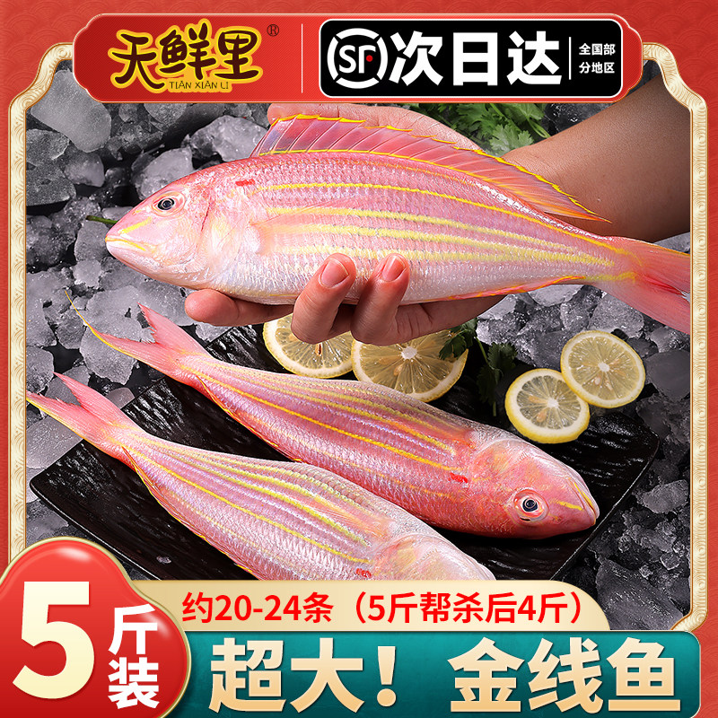 【顺丰包邮】天鲜里金线鱼广东