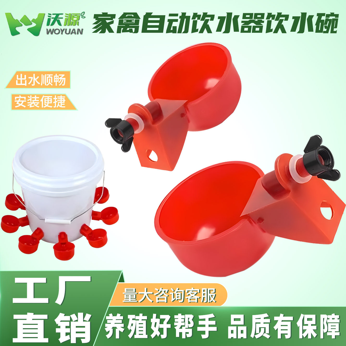 家禽自动饮水器雏鸡加厚饮水碗