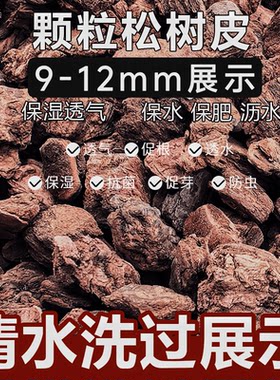 华北落叶松老树皮  具有扣弹性海绵体