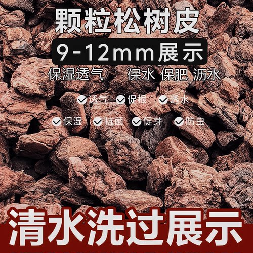 华北落叶松老树皮  具有扣弹性海绵体