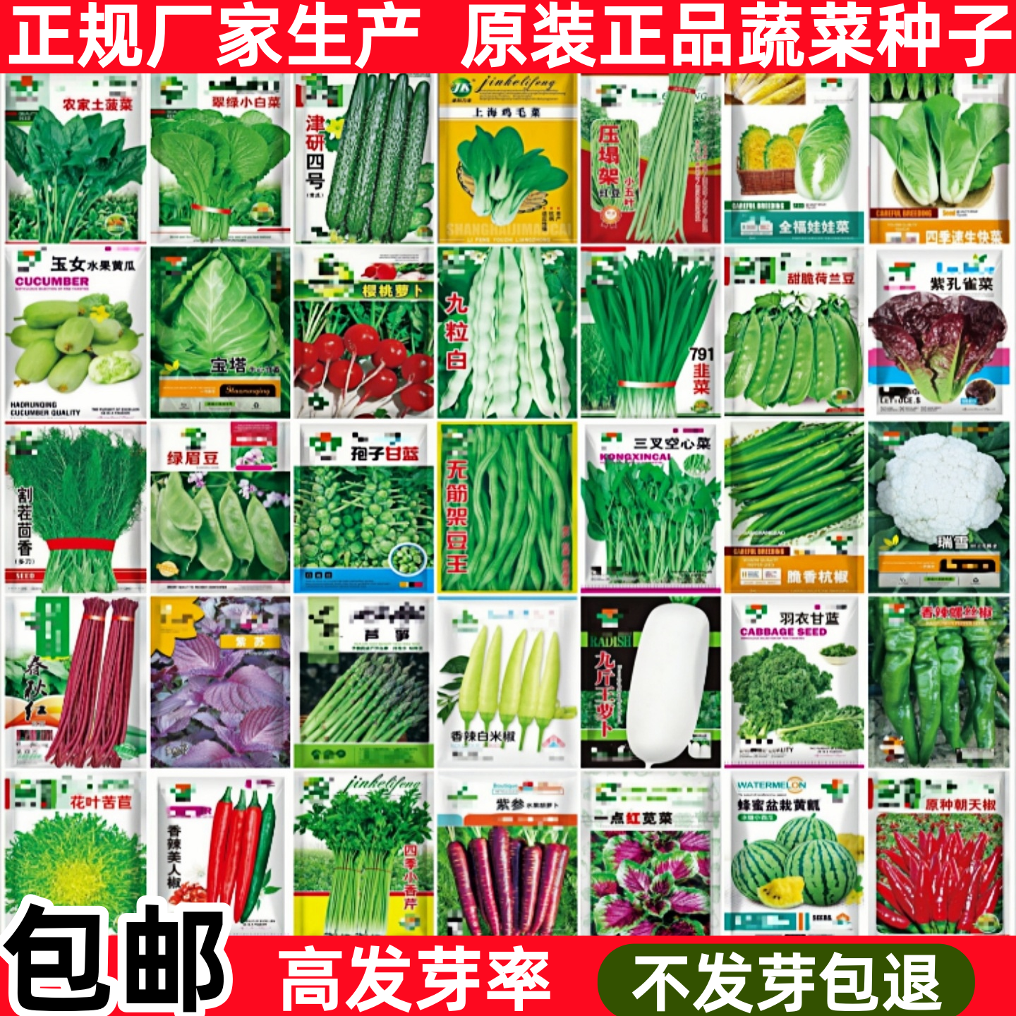 四季蔬菜种子阳台盆栽香菜小葱生菜春夏播黄瓜番茄豆角种籽孑大全