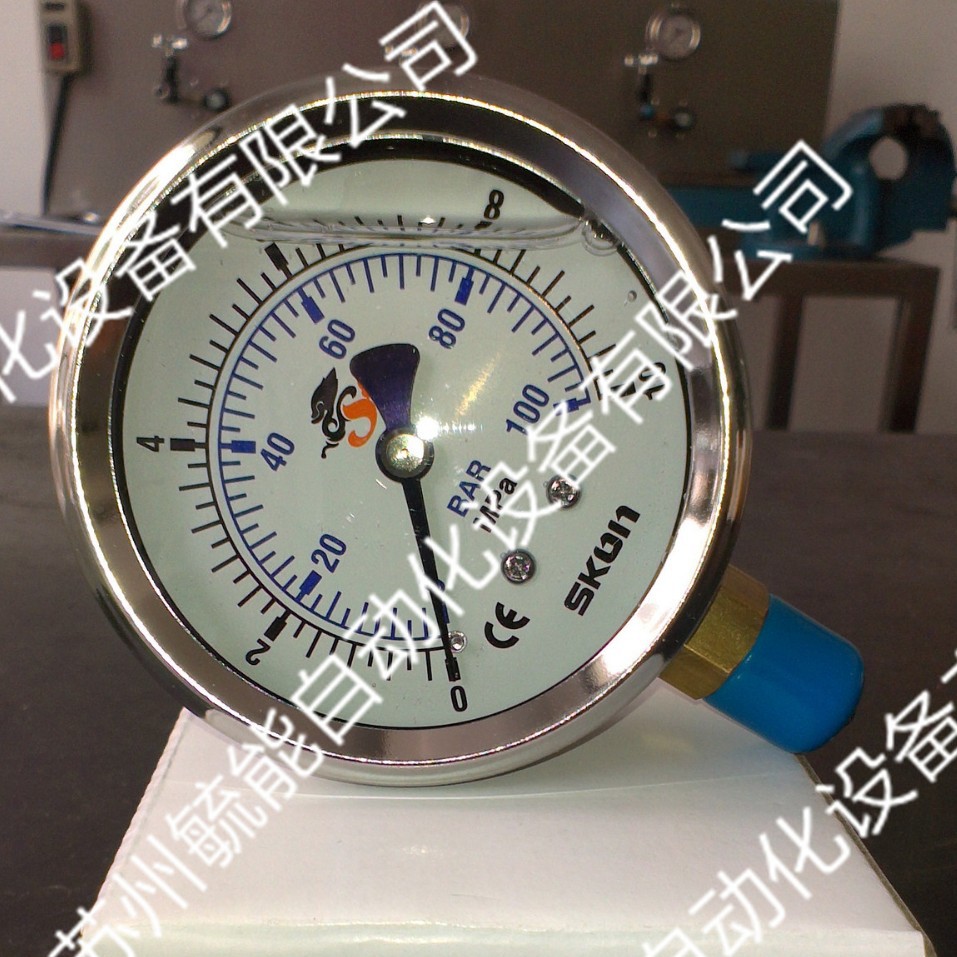 协钢压力表1MPAZ1/4防护