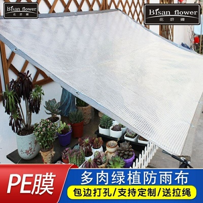 多肉遮雨布防水透明加厚棚罩花架窗台庭院户外挡雨防晒遮阳网篷布