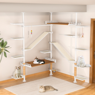 顶天立地通天柱猫爬架家用墙角攀爬架梯子窗台飘窗金属猫树猫爬杆