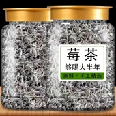 莓茶湖南永顺张美丽家界永顺官方旗舰店特级野生 功效与作用乌龙