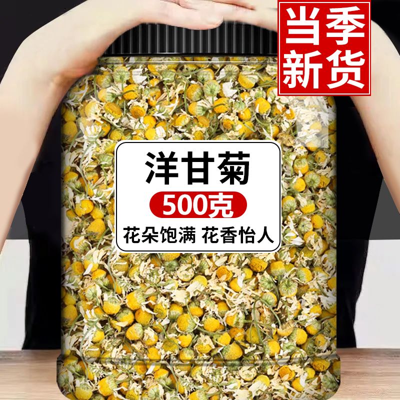 新货洋甘菊茶叶花茶非罗马洋甘菊灌肠葛森西洋甘菊花草茶散装批发