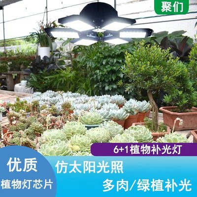 全光谱多肉补光灯室内光照灯阳台水草蔬菜花果微景观植物生长灯