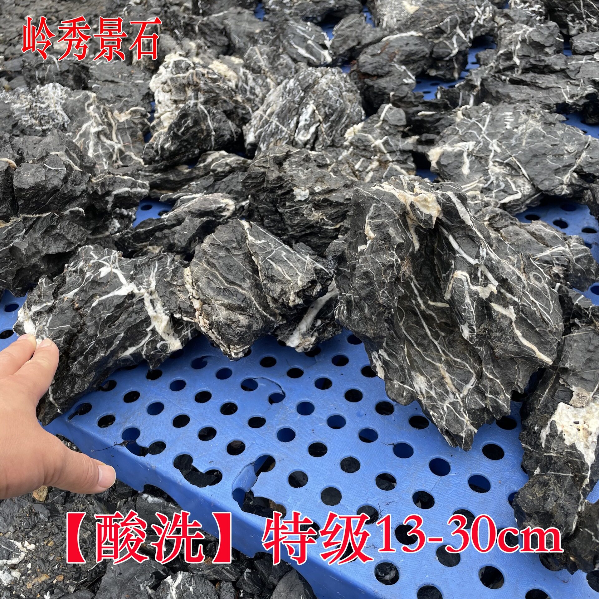 矿山 鱼缸造景酸洗青龙石 盆景微景观假山制作小块英石1吨起批