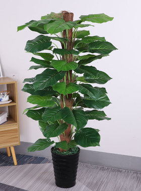假树绿植客厅室内落地大型植物盆景摆件大叶绿萝假花