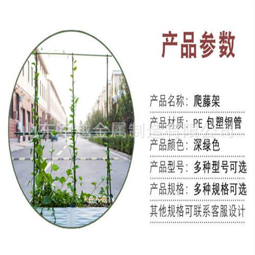 用299爬藤架包塑钢管菜蔓藤支架蔬花卉支撑黄瓜西农红柿豆角葡萄