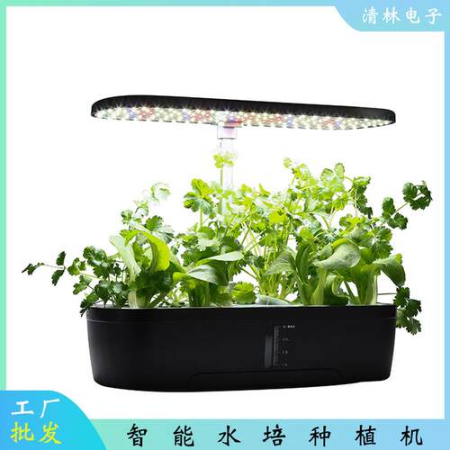 亚马逊新款12孔带显示屏植物灯智能生长灯全光谱LED水培生长机