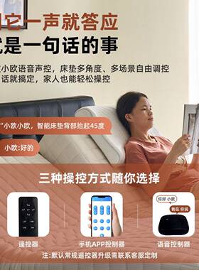 智电能动双人床床主卧极简多功能可分体式升降#床互HRR不打扰床
