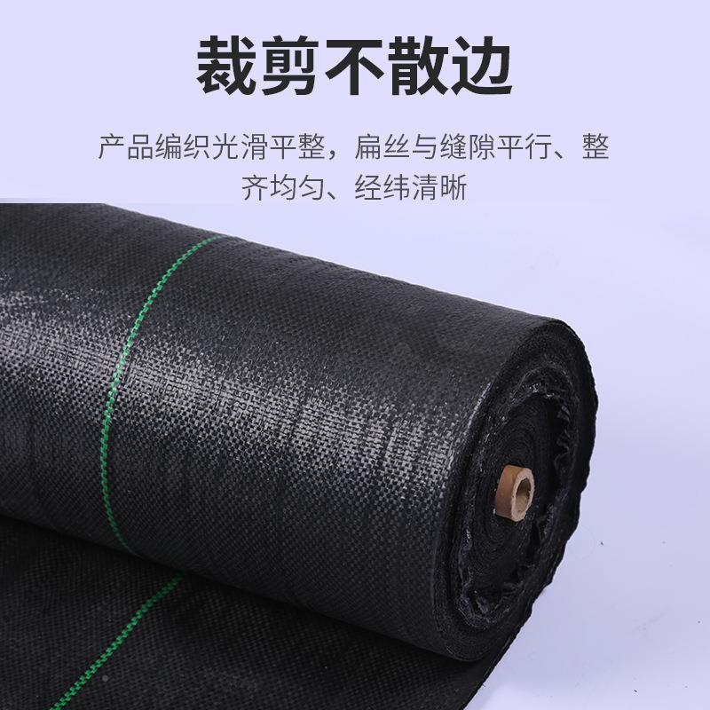 70P草g黑色P除布布园林大棚农用园731艺地布保温抑草地防草布