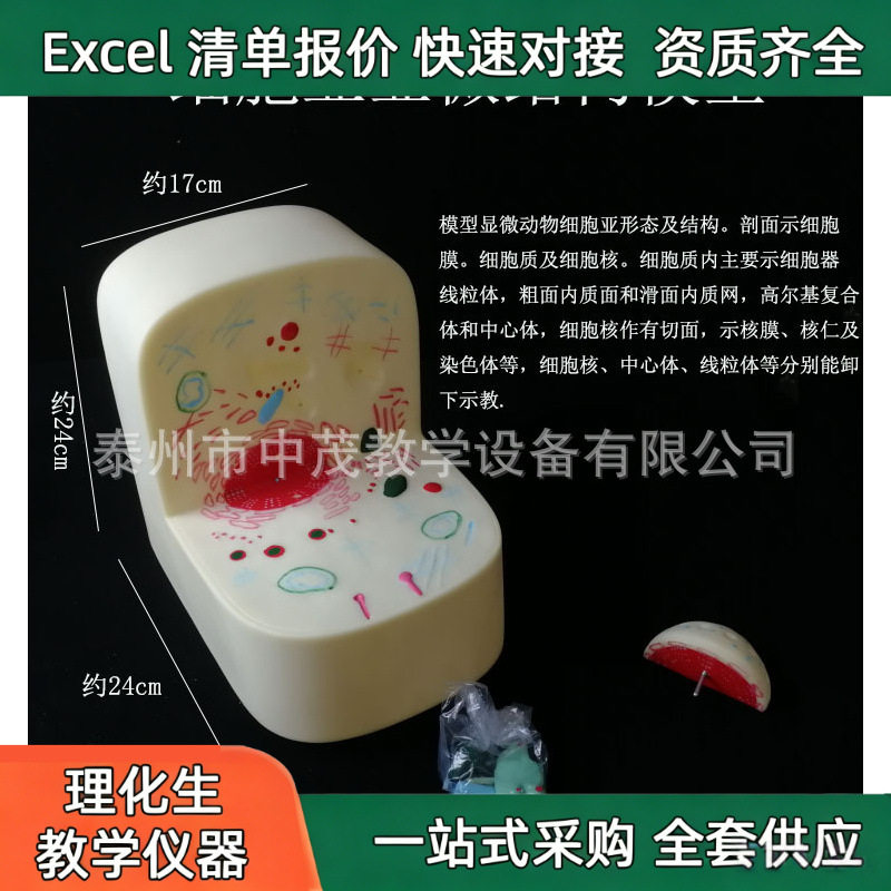 细胞亚显微结构模型 细胞器 细胞核 中心体 高尔基体生物模型器材
