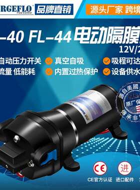 FL-4012V24V直流小型隔膜船用泵灌装机泵农用全自动抽水泵