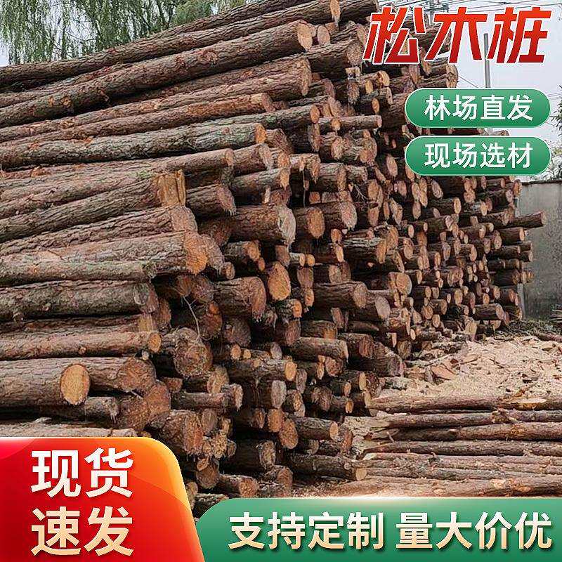 松木桩河道打桩木水利工程防洪抗汛木桩绿化支撑杆木桩原木