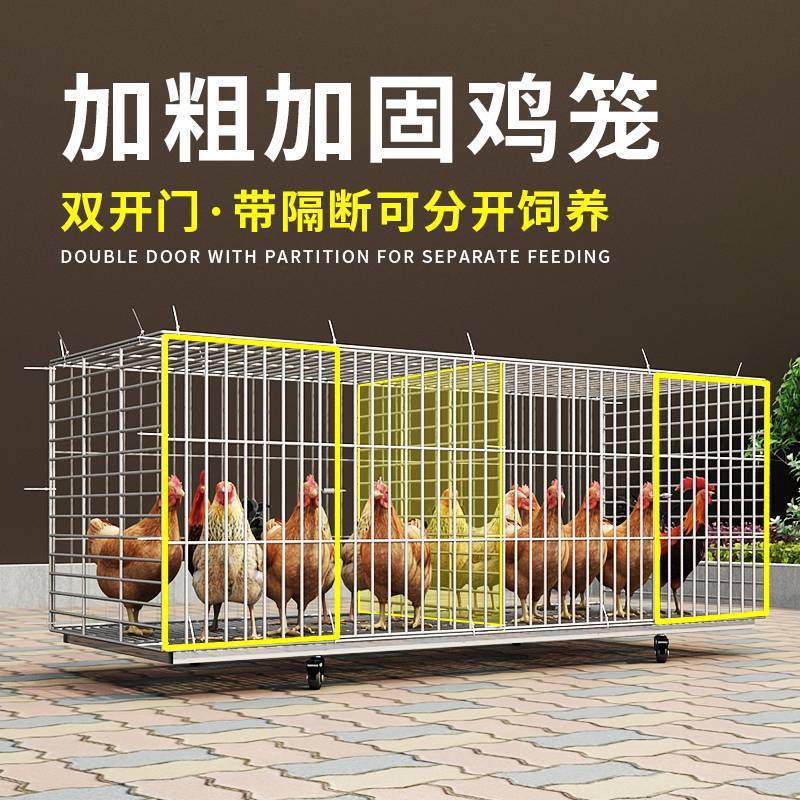 养鸡笼家用鸡笼子养殖笼家用铁笼子鸡舍家用蛋鸡笼特大号包邮