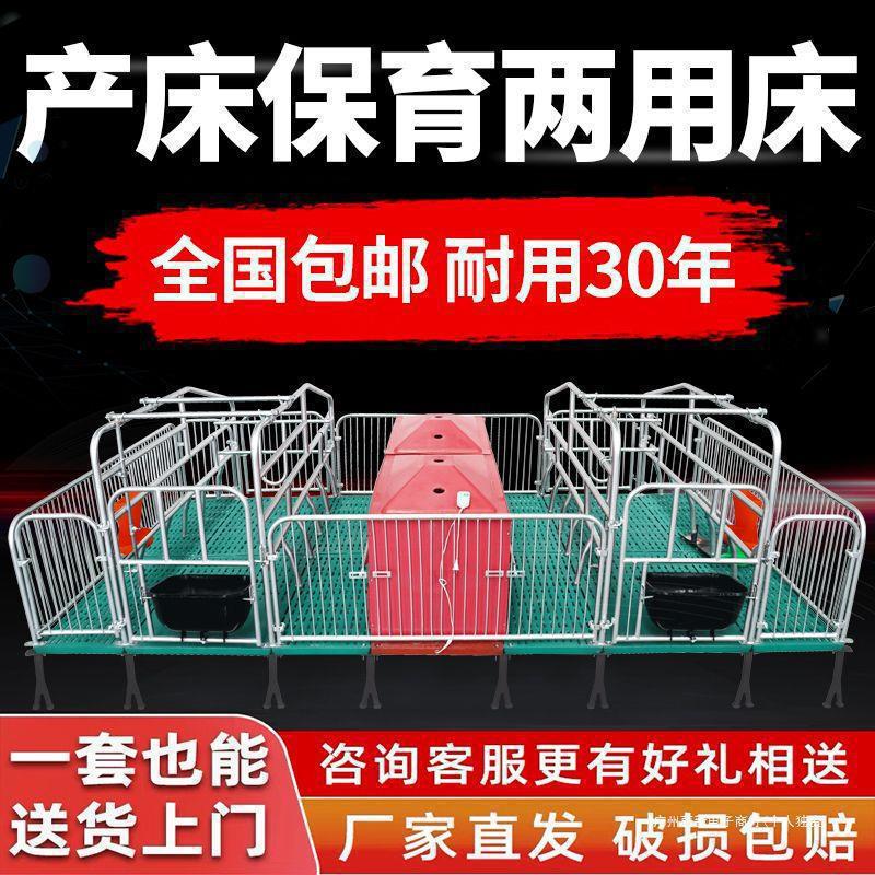 母猪产床热镀2.5产保一体复合板定限位栏单双体保育床养殖猪设备