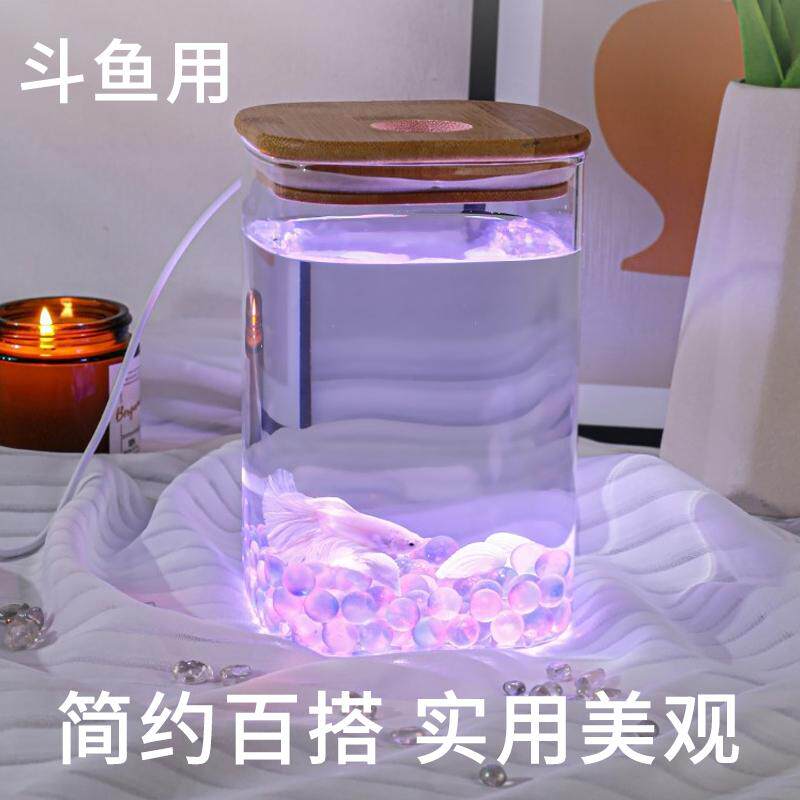 小型玻璃桌面微景观斗鱼缸