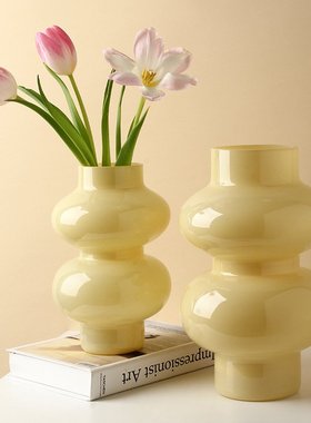 贝汉美玻璃花瓶高级感家居客厅插花玄关餐桌装饰摆件水培花器