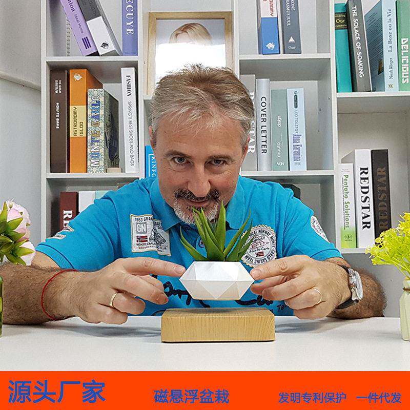 新款磁悬浮盆栽 空中盆栽植物悬空花盆客厅公室创意摆件