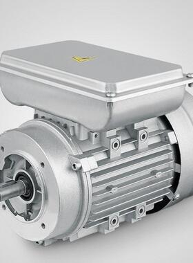 单相异步电机370/0.75Kw/1400 Rpm家用220V铝壳Yl单电机卧式支架