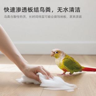 鸟粪清洁剂无水免洗鸟笼鹦鹉笼去除剂擦屎抑菌鸽子强力泡沫清洗剂