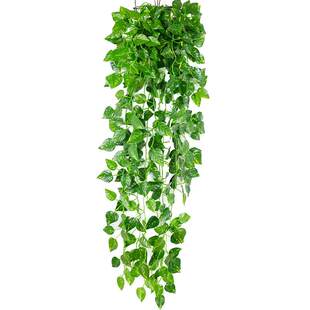 极速假绿箩长藤款 饰s室内吊顶假绿萝叶子葡萄爬藤条树叶塑料花 装