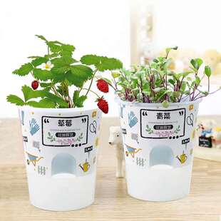 极速幼儿园植树节活动春天主题小作业儿童种植P小盆栽观察日记植