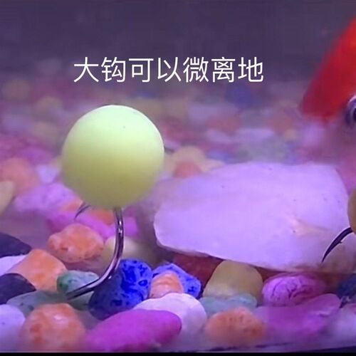 极速钓鱼浮珠反底钓鱼浮珠鲤鱼草鱼浮水珠珠假R饵料钓大鱼玉米香