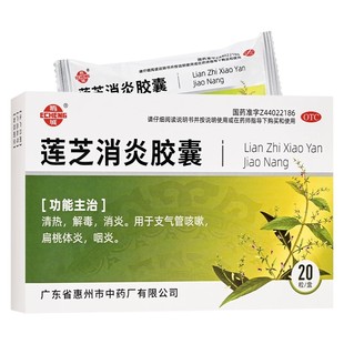 鹅城 莲芝消炎胶囊20粒清热解毒消炎支气管咳嗽扁桃体炎咽炎