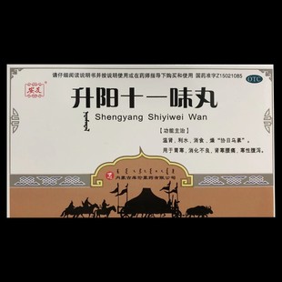 安友 升阳十一味丸