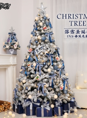 瑞士圣诞树新款家用套餐蓝色diy白色落雪PVC植绒树圣诞节布置装饰