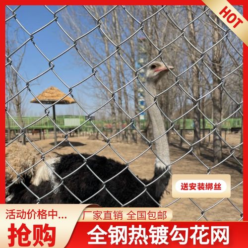 极速镀锌铁丝网围栏养殖网防护勾花网养鸡钢丝P网护栏网养狗栅栏