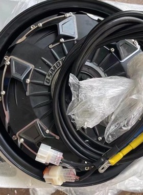 全顺12寸4代瓦片3000WP 5000WP 6000WP大功率72V电W摩改装破百神