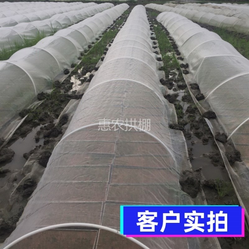 极速小拱棚支架d玻璃纤维拱杆玻璃钢弹力棒骨架保温湿.防虫大棚农