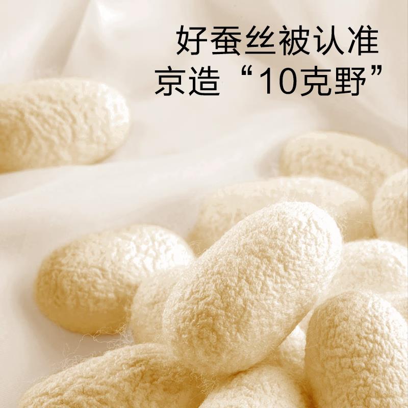 双色柔100%天然野生蚕丝被A类被子