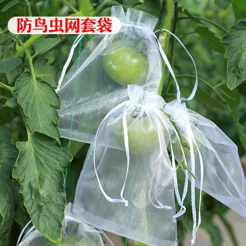 水果套袋防虫网袋防鸟桃子番茄包瓜果专用保护袋番茄葡萄番石榴