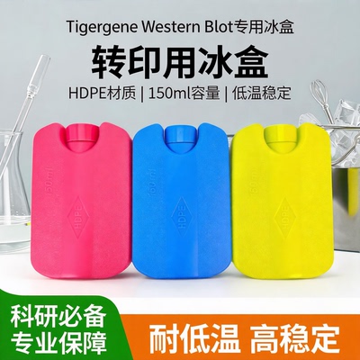 Tigergene Western blot 转印冰盒 电转小冰盒 HDPE冰盒湿转冰袋