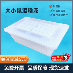 Tigergene小鼠运输笼带滤膜鼠笼运输笼大鼠运输笼运输鼠的转运盒