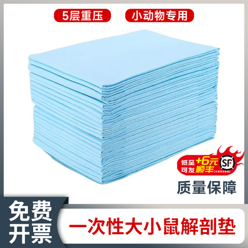 小鼠解剖垫免费开票量大优惠