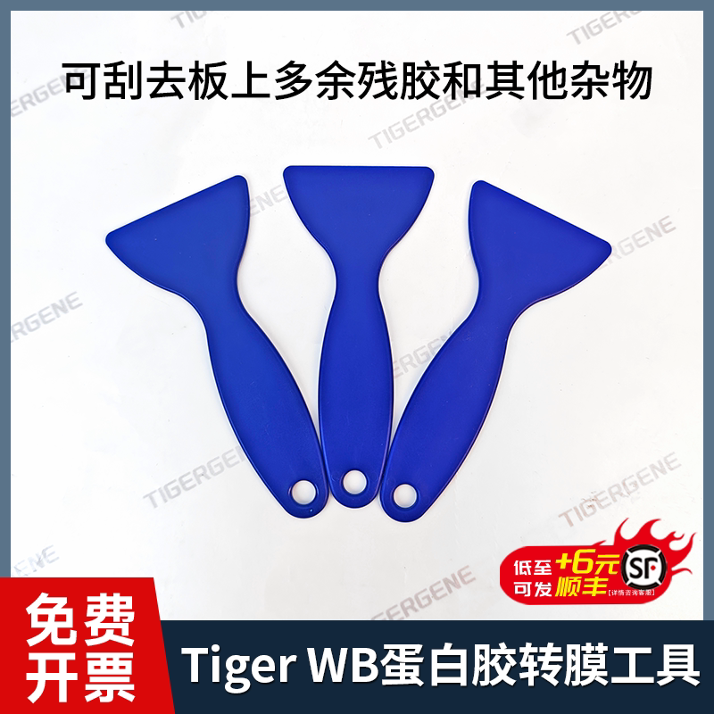 Tigergene国产伯乐WB电泳启胶器 剥胶铲 起胶器 电泳胶铲 撬板器