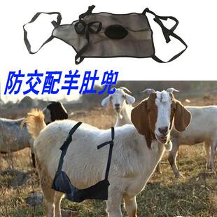 羊肚兜草原种羊防交配肚兜裹兜透气防公羊爬母羊肚兜神器坚固耐用