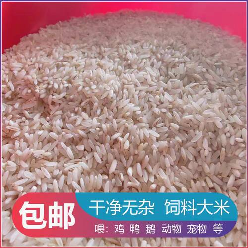 2025年优质粗粮饲料喂鸽子喂鸟