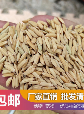 带壳稻谷饲料50斤喂鸡鸭鹅鸽子鸟食圈养禽类新原粮水稻稻子10斤