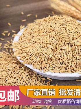 带壳稻谷饲料50斤喂鸡鸭鹅鸽子鸟食圈养禽类新原粮水稻稻子10斤